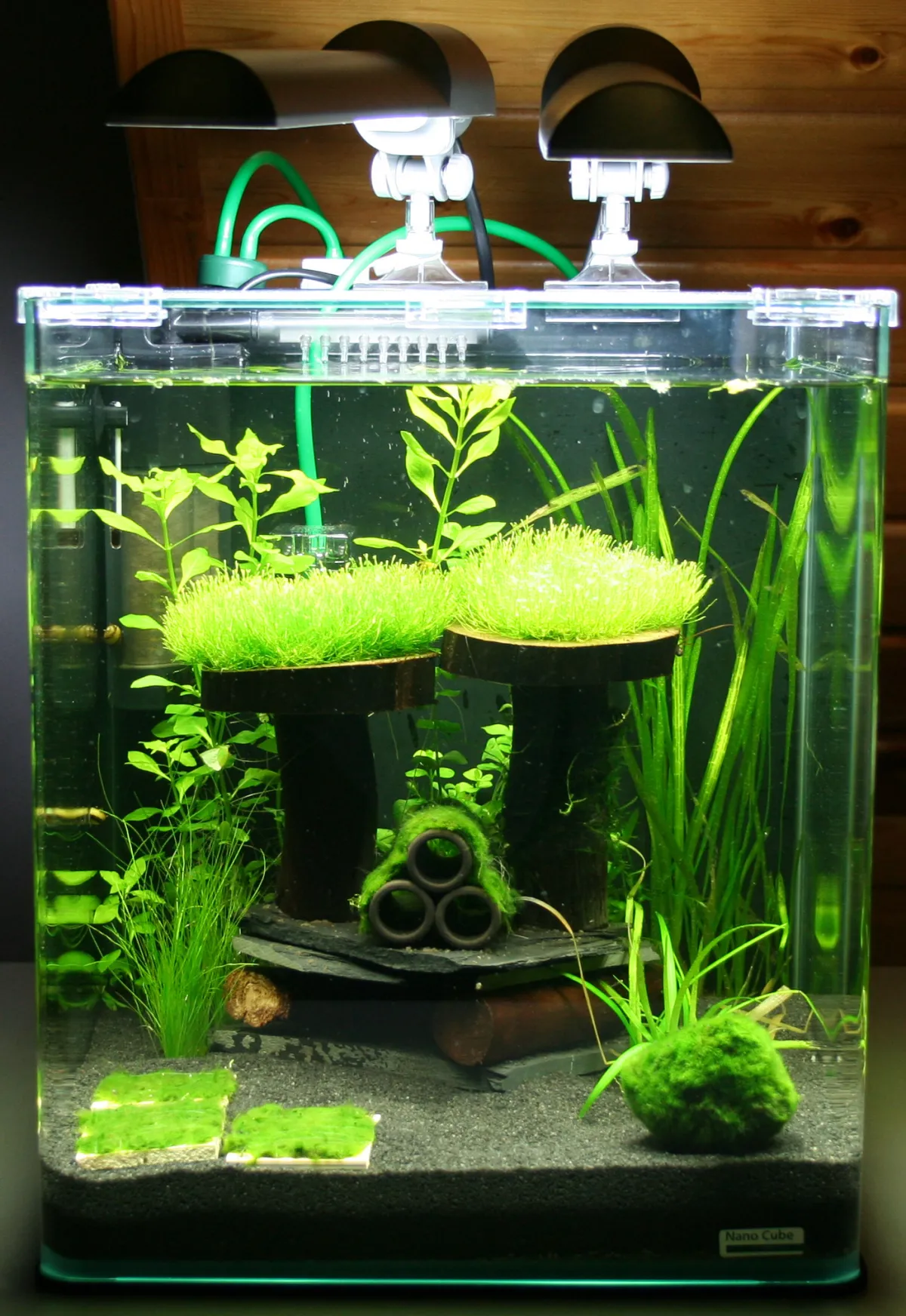 Planted nano aquarium with lights, filter tubing, and no fish โ a fishless cycling setup